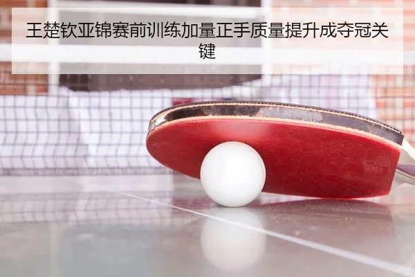 王楚钦亚锦赛前训练加量正手质量提升成夺冠关键